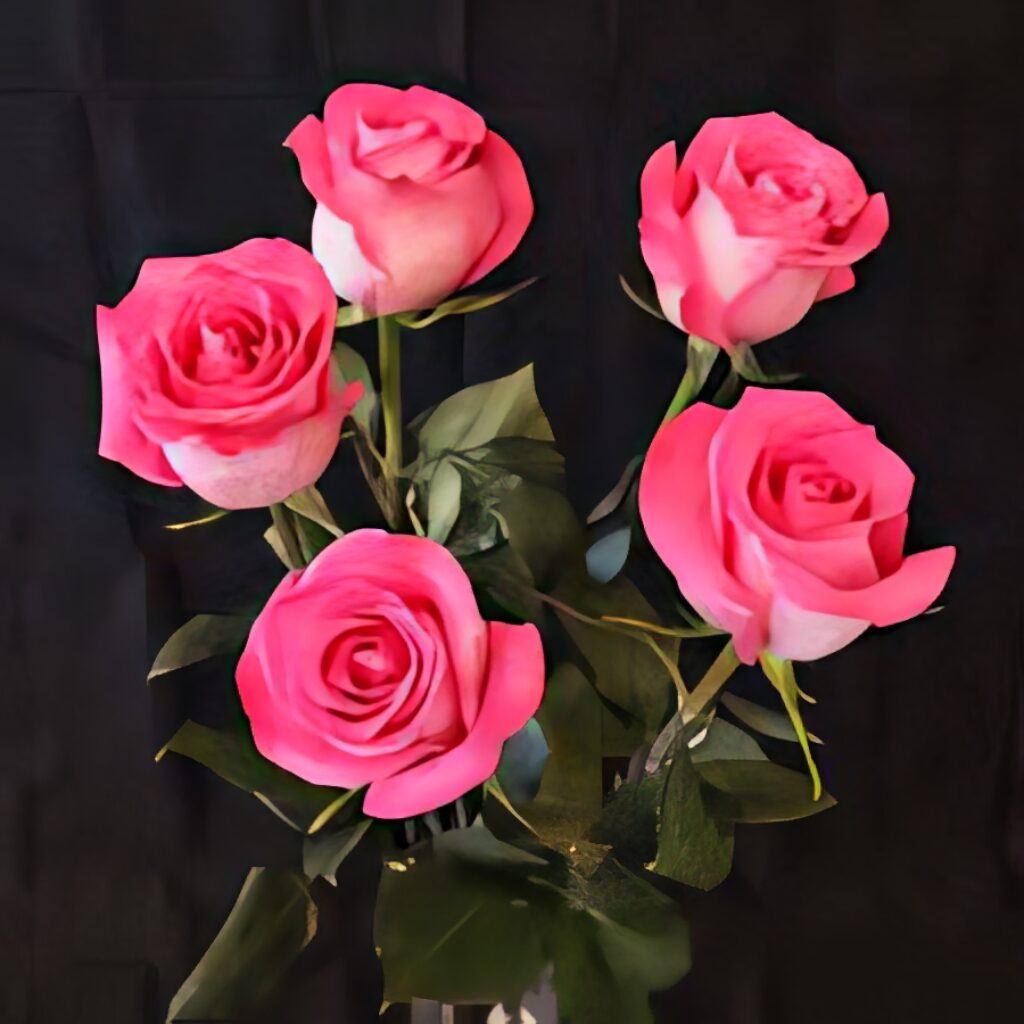 Vibrant Pink Roses Bouquet on Dark Background - Elegant Floral Art Wallpaper