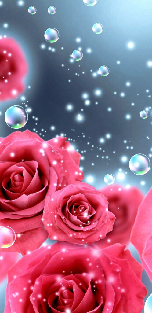 Vibrant Pink Roses with Bubbles on Dreamy Bluish Background Wallpaper