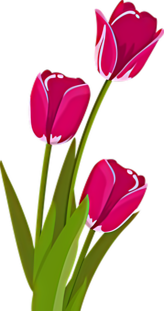 Vibrant Pink Tulip Vector Wallpaper with Lush Green Leaves