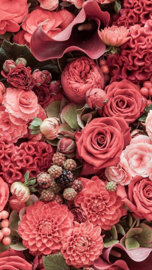 Vibrant Pink & Red Flower Wallpaper: Romantic Floral Background