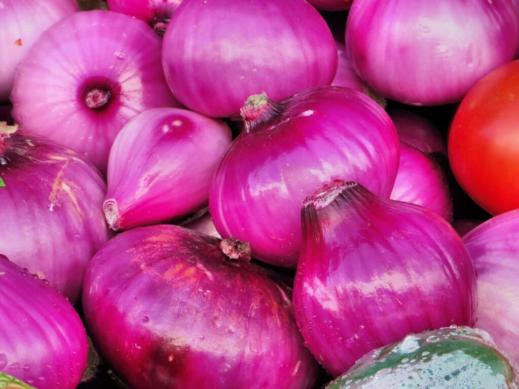 Vibrant Pinkish-Purple Onion Wallpaper Background - Fresh Aesthetic