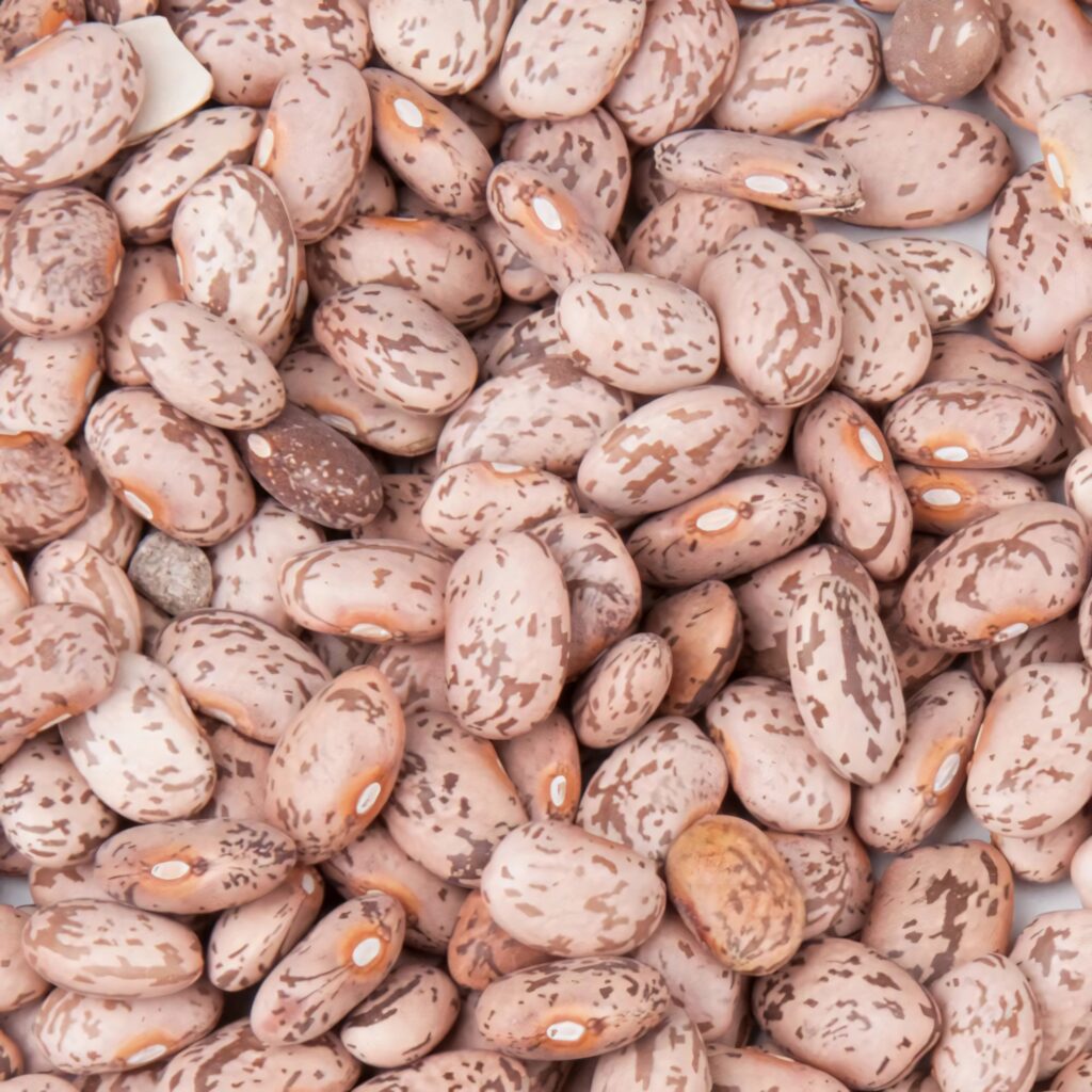 Close-up of vibrant pinto beans with speckled patterns and earthy tones wallpaper background