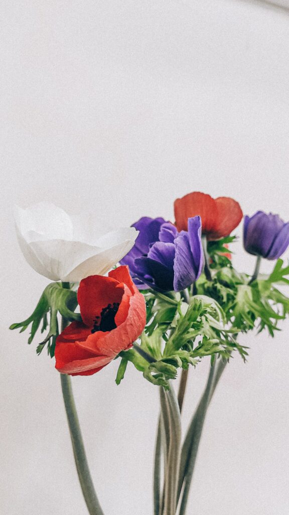 Delicate Bouquet Wallpaper: Colorful Poppies on Soft Background