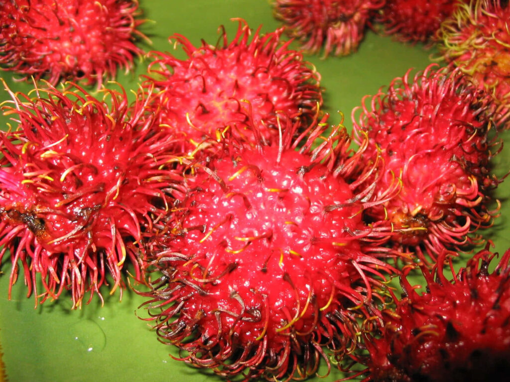 Vibrant Pulasan Fruits Close-Up: Spiky Red Skin & Juicy Texture Wallpaper