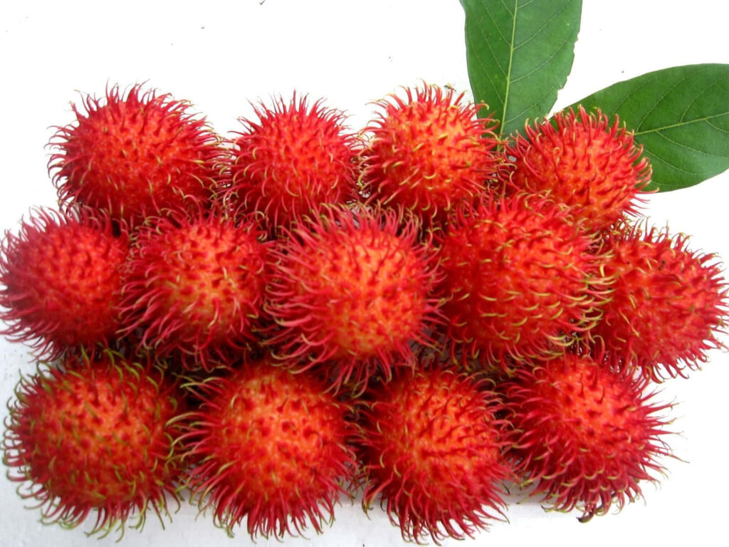 Vibrant Pulasan Fruits Wallpaper: Ripe Red & Spiky Tropical Background