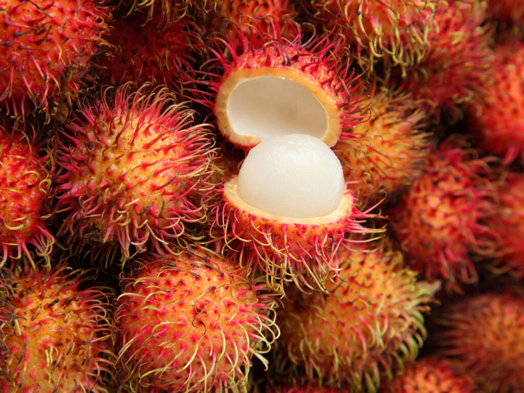 Tropical Pulasan Fruits: Vibrant Wallpaper with Spiky Red Skin