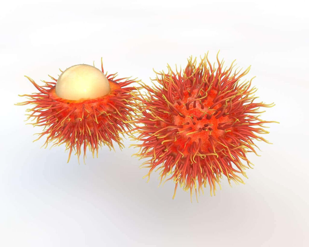Vibrant Pulasan Fruit Wallpaper: Spiky Exterior & Smooth Interior