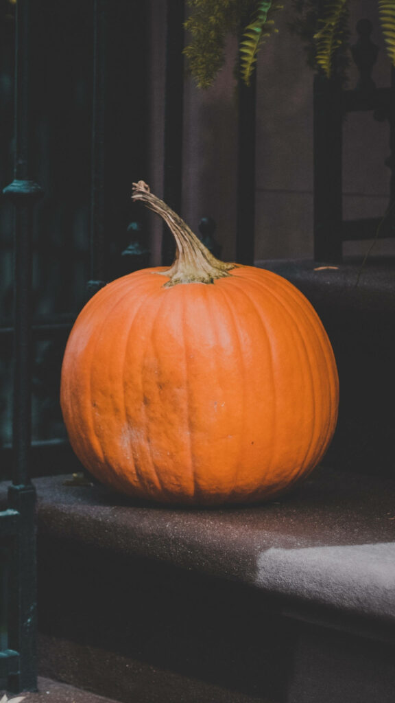 Vibrant Pumpkin Wallpaper for Samsung Galaxy S7 Edge - Autumn Vibes