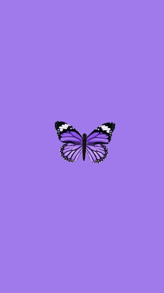 Minimalistic Wallpaper: Vibrant Purple Butterfly on Solid Background