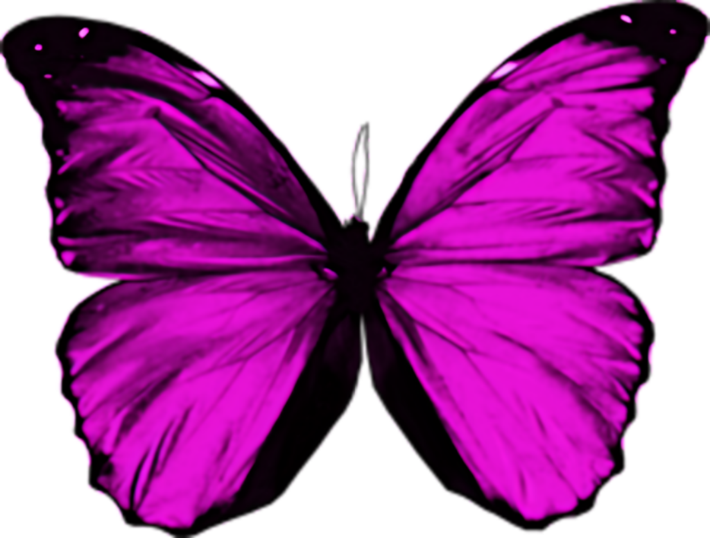 Elegant Purple Butterfly Wallpaper: Vibrant & Intricate Background