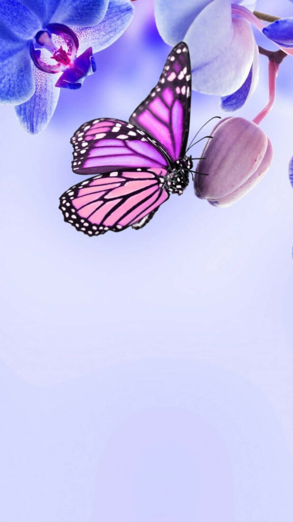 Charming Wallpaper: Purple Butterfly on Floral Pastel Background