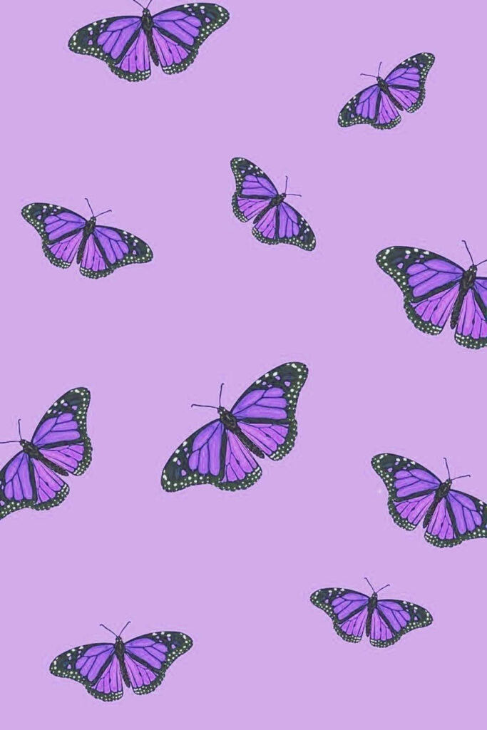 Vibrant Purple Butterflies Wallpaper on Soft Lavender Background