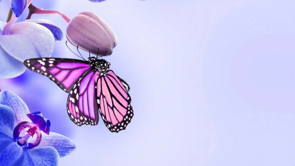 Serene Lavender Wallpaper with Vibrant Purple Butterfly and Flowers