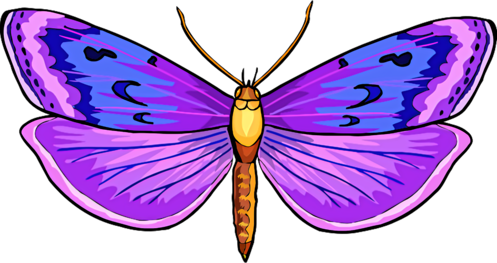 Vibrant Purple Butterfly Wallpaper: Stunning Blue & Pink Patterns