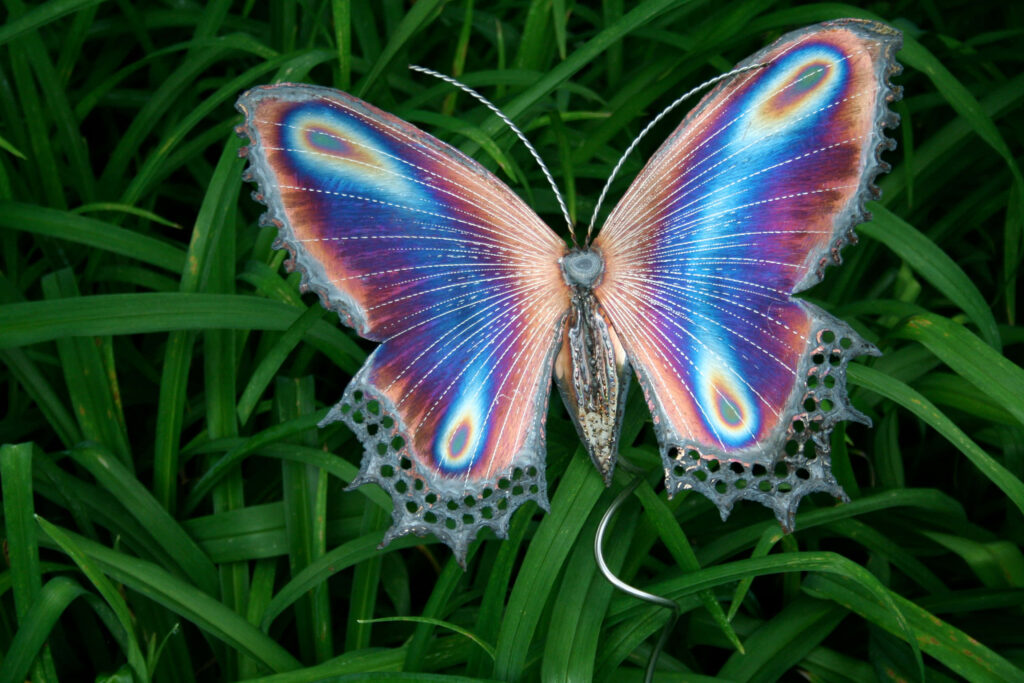 Vibrant Purple Butterfly Wallpaper with Colorful Patterns in Grass