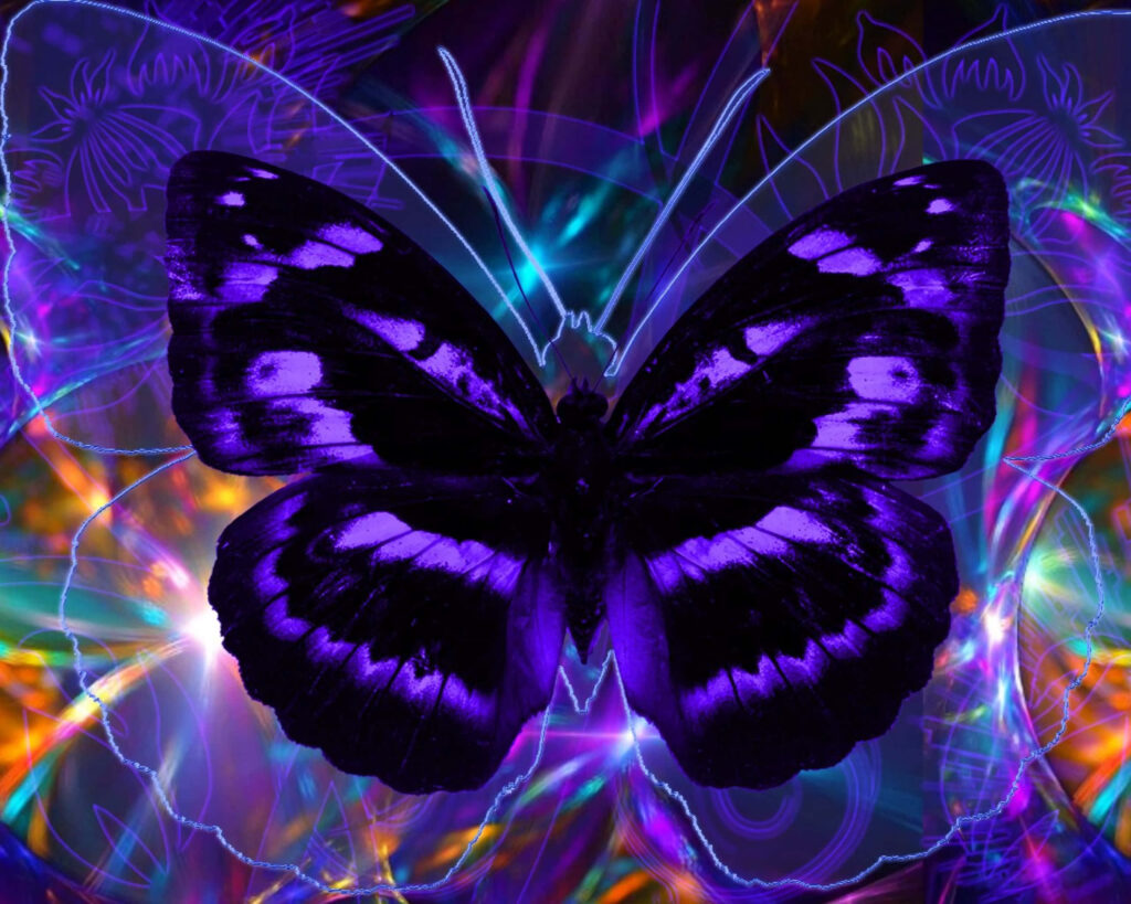 Vibrant Purple Butterfly Against Neon Lights – Enchanting Wallpaper