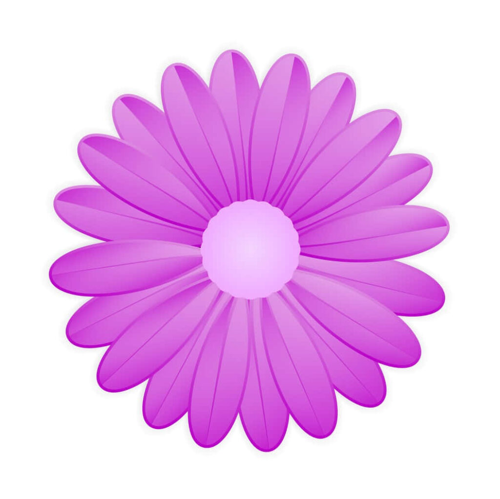 Vibrant Purple Daisy Wallpaper: Crisp Vector Design on White Background