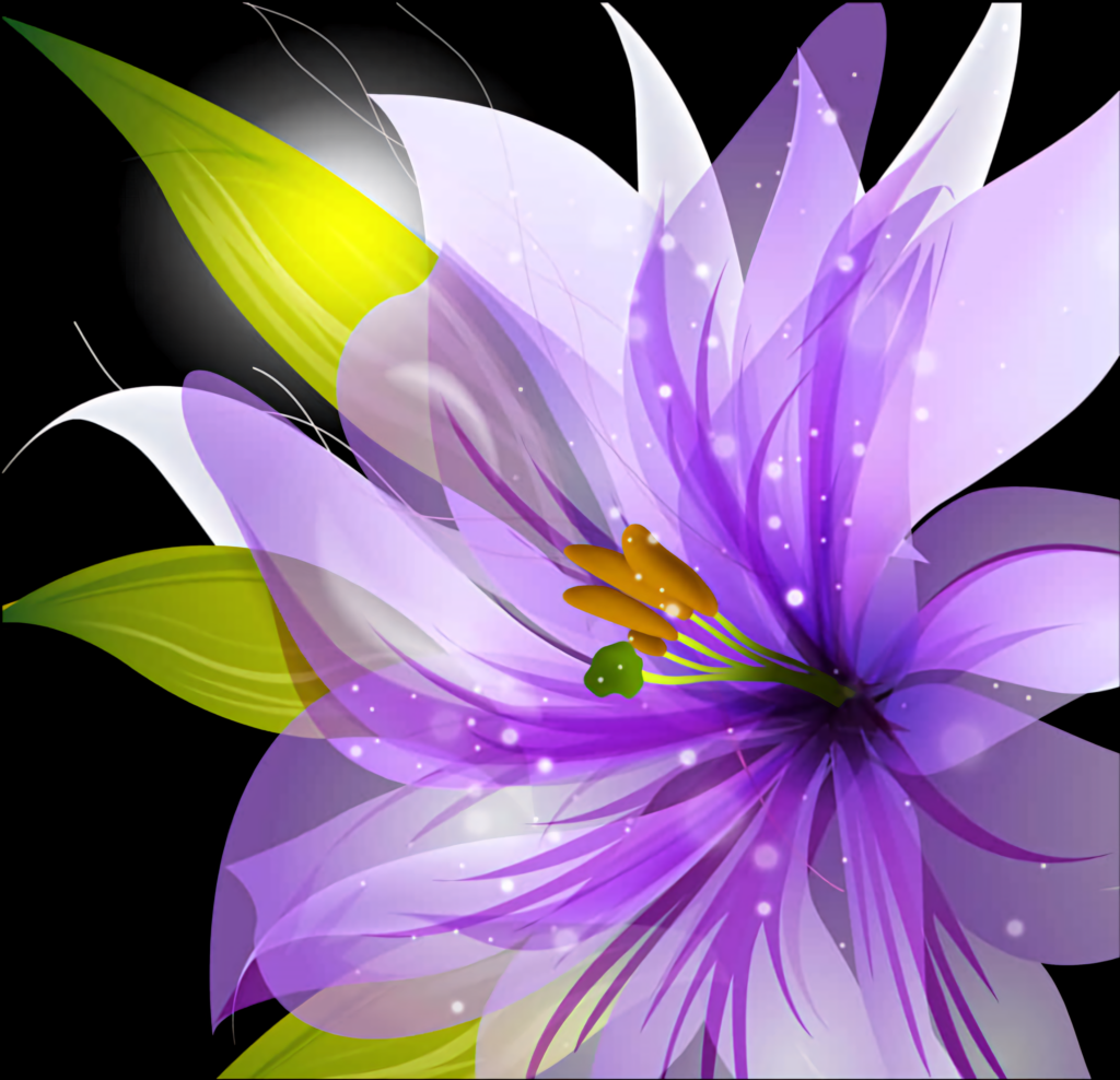 Vibrant Purple Flower Abstract Wallpaper on Dark Background
