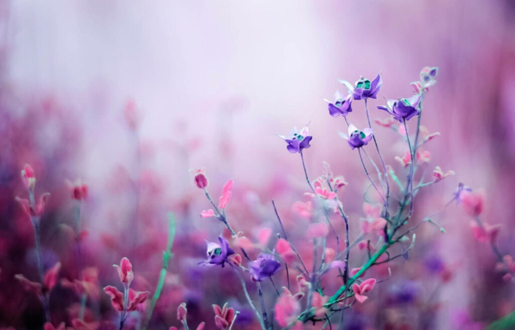 Dreamy Purple Flower Wallpaper - Vibrant Spring Background