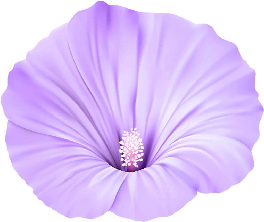 Elegant Purple Flower Wallpaper on Transparent Background