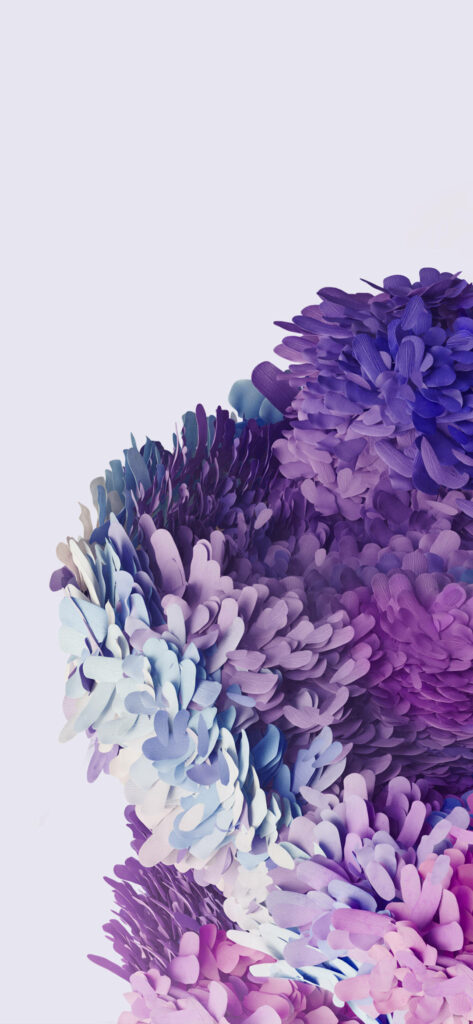 Vibrant Purple Flower Wallpaper for Samsung Galaxy S20 Background