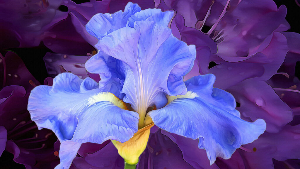 Vibrant Purple Iris Wallpaper: Hyper-Realistic Floral Art Background