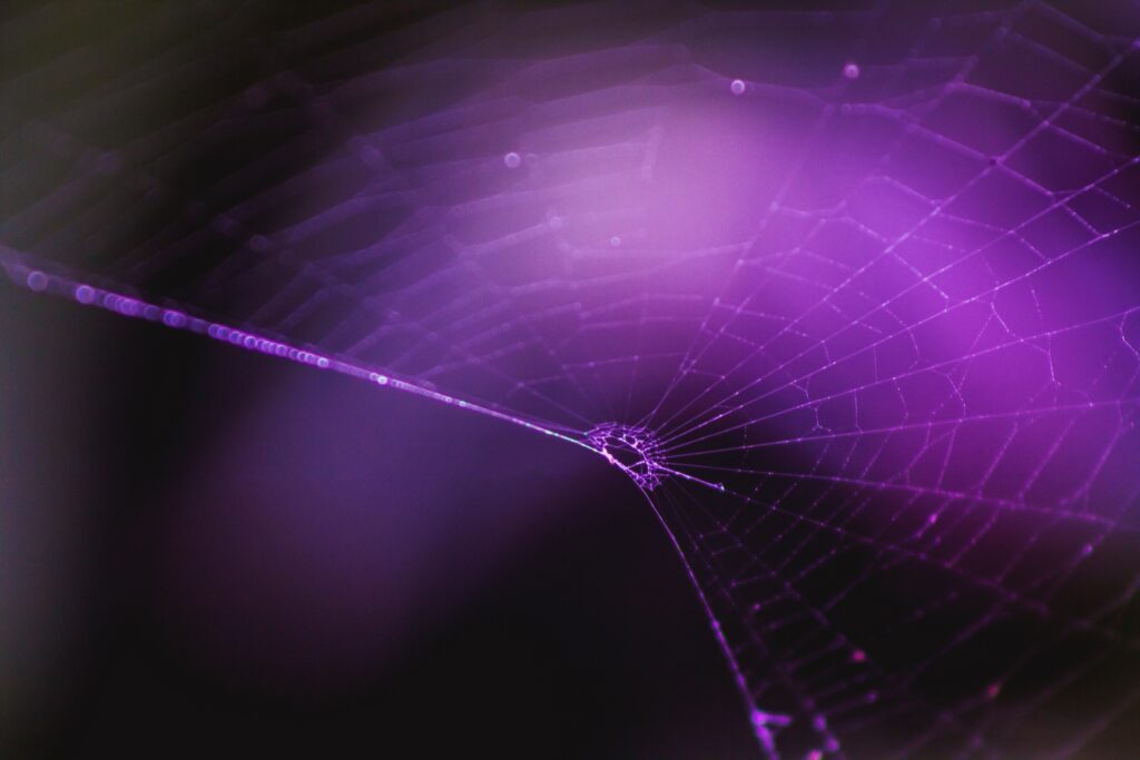 Vibrant Purple Spiderweb Wallpaper: Intricate Depth & Design