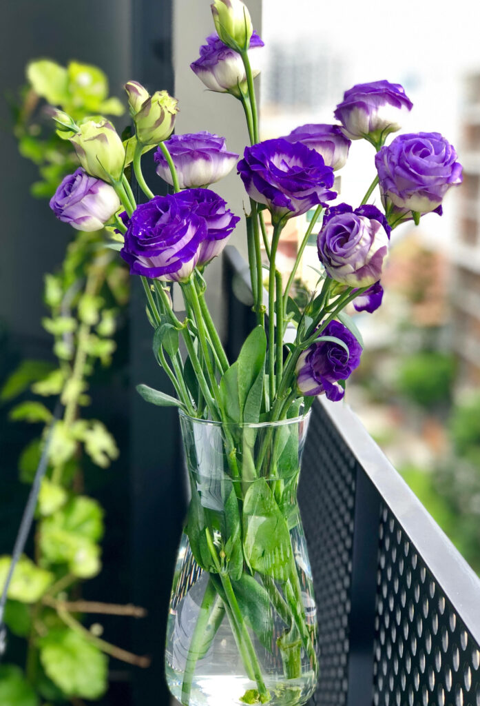Vibrant Purple Texas Bluebell Wallpaper for Android – Natural Beauty