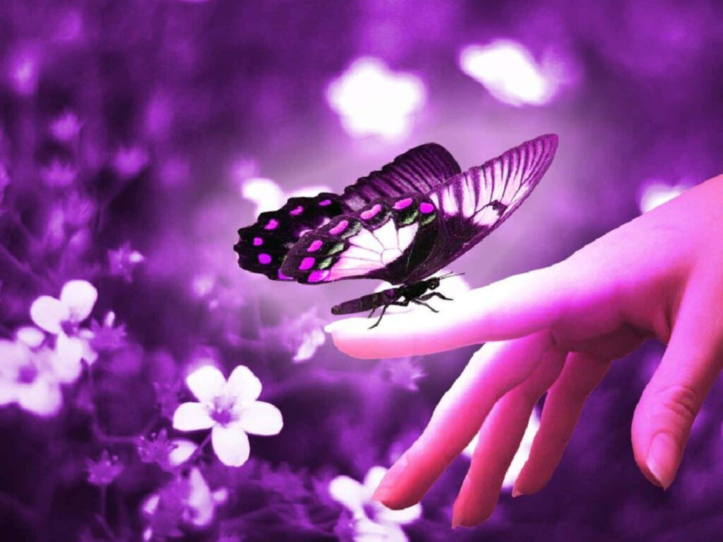 Dreamy Purple Wallpaper with Butterfly on Finger & Glowing Flowers