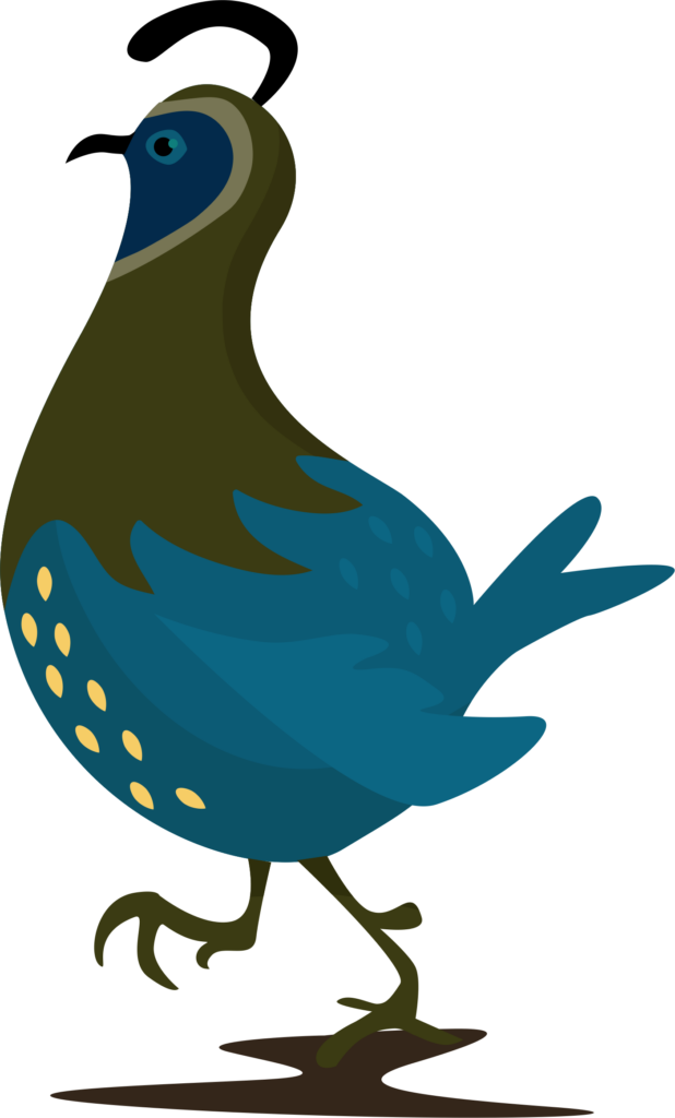 Vibrant Quail Wallpaper: Modern Art with Bold Colors