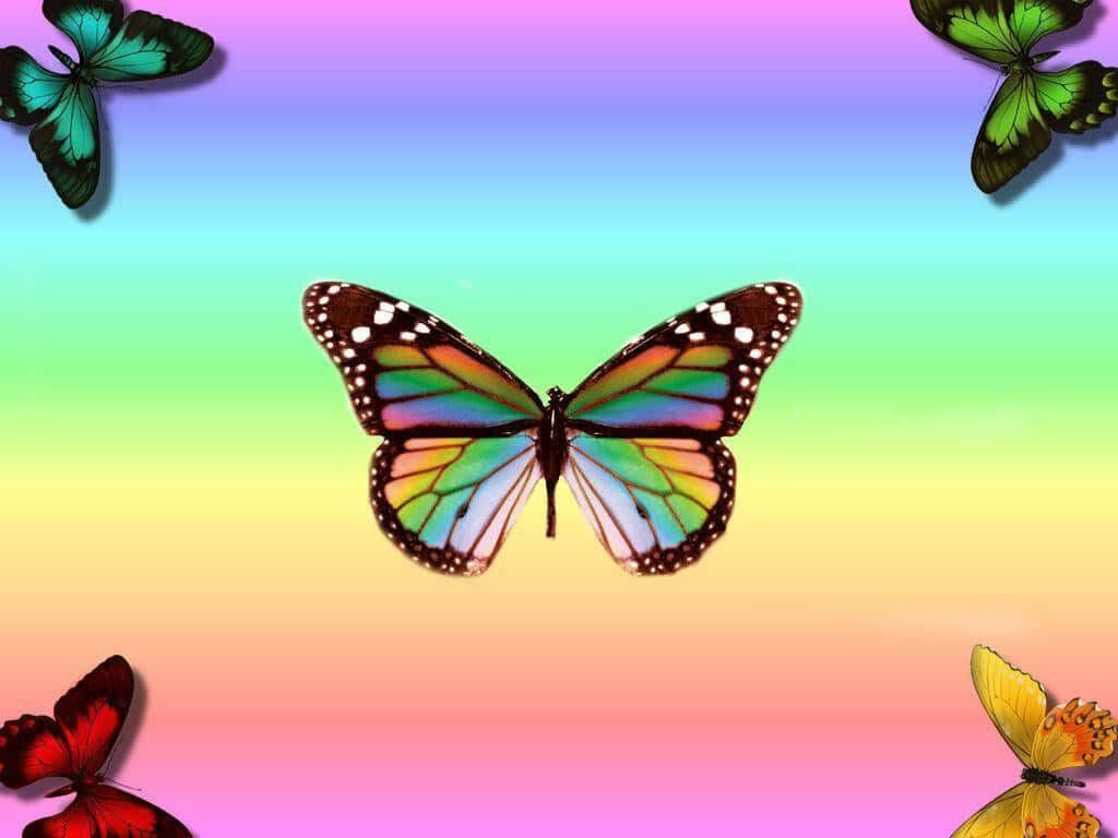 Rainbow Butterfly Desktop Wallpaper with Colorful Corner Butterflies