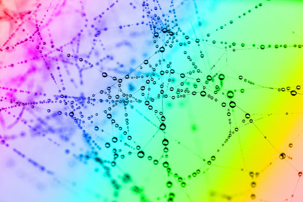 Colorful Cobweb Macro Wallpaper with Water Droplets & Rainbow Background