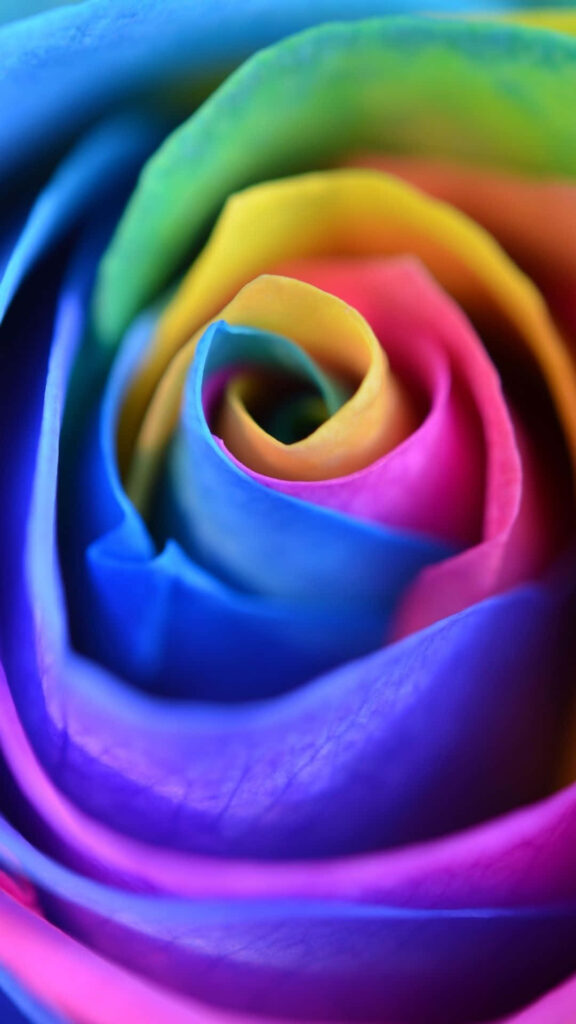 Transform Your Phone with Vibrant Rainbow Flower Background Wallpaper