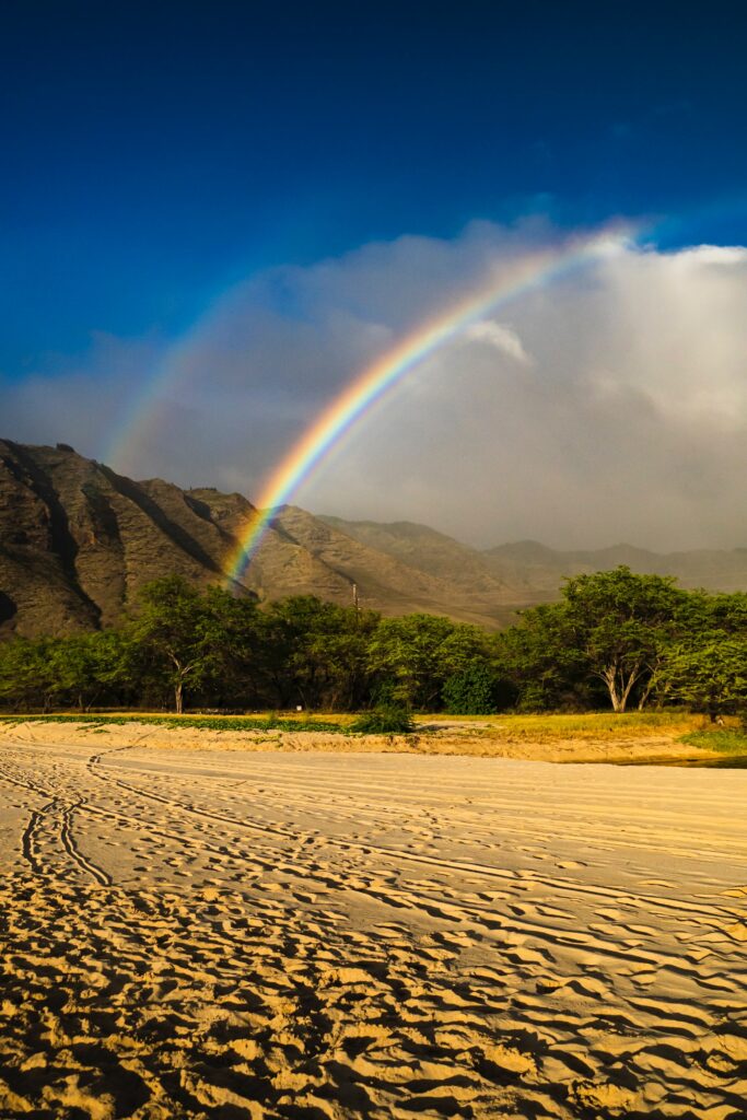 Vivid rainbow over rugged mountains lush green trees golden sandy beach under deep blue sky wallpaper