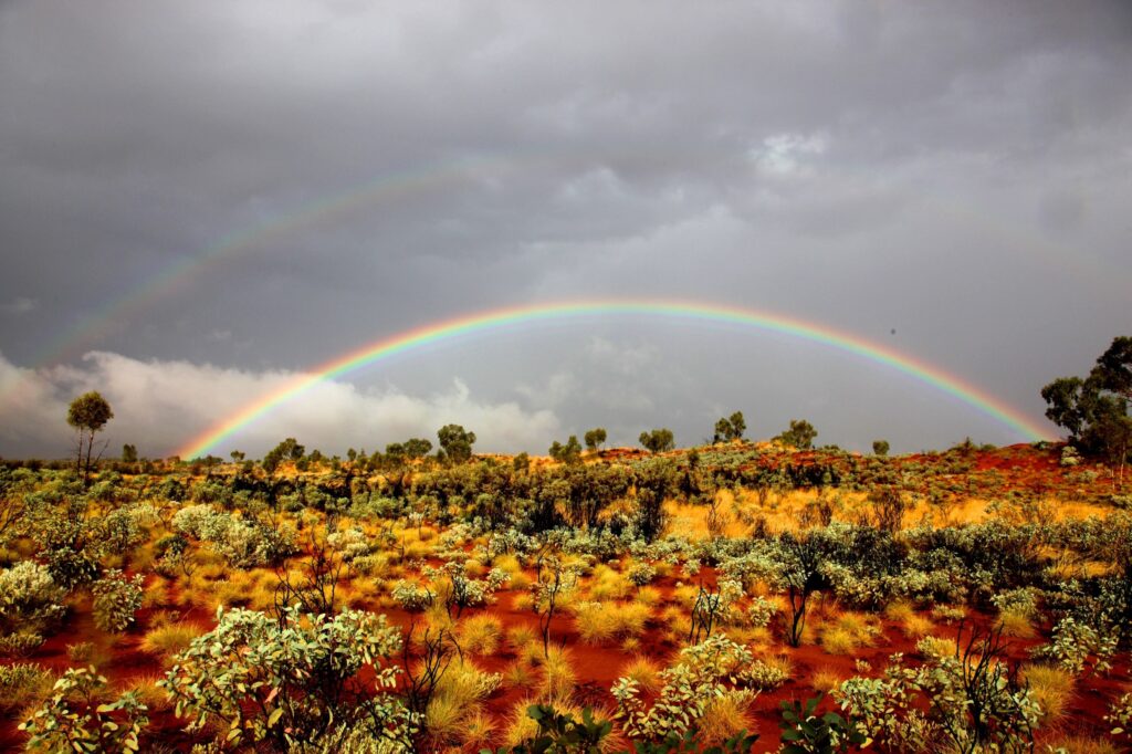 Vibrant rainbow over wild west desert with red sand and lush green vegetation after rain Wallpaper