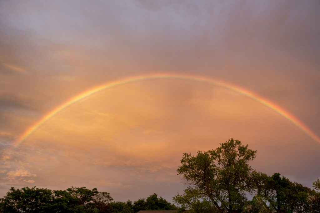 Rainbow arching over golden sunset sky with green tree silhouettes serene nature wallpaper