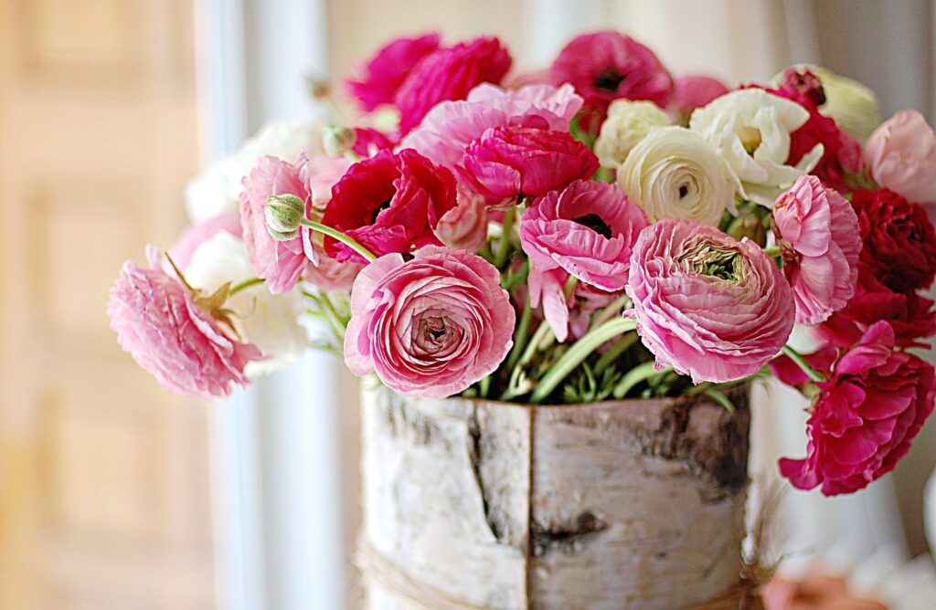 Vibrant Pink and White Ranunculus Bouquet Wallpaper - Rustic Elegance