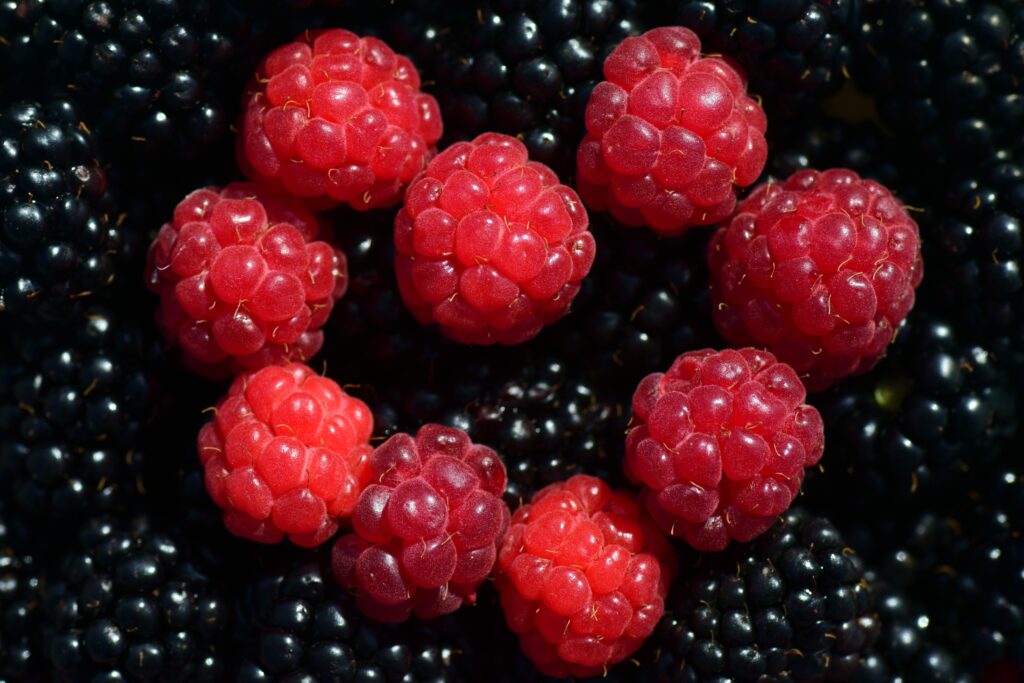 Vibrant Raspberry & Blackberry Wallpaper Background - Juicy Textures