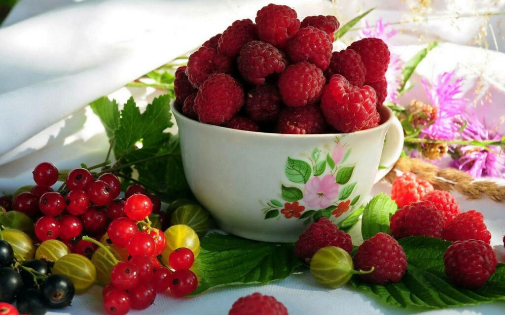 Vibrant Wallpaper: Juicy Raspberries & Currants in Floral Cup