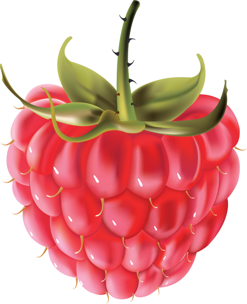 Vibrant Raspberry Illustration: Detailed Pink & Green Wallpaper Background