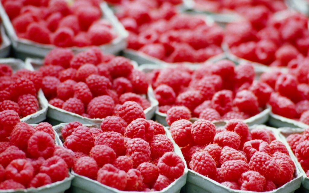 Vibrant Raspberries Wallpaper: Fresh, Juicy Red Berries Background