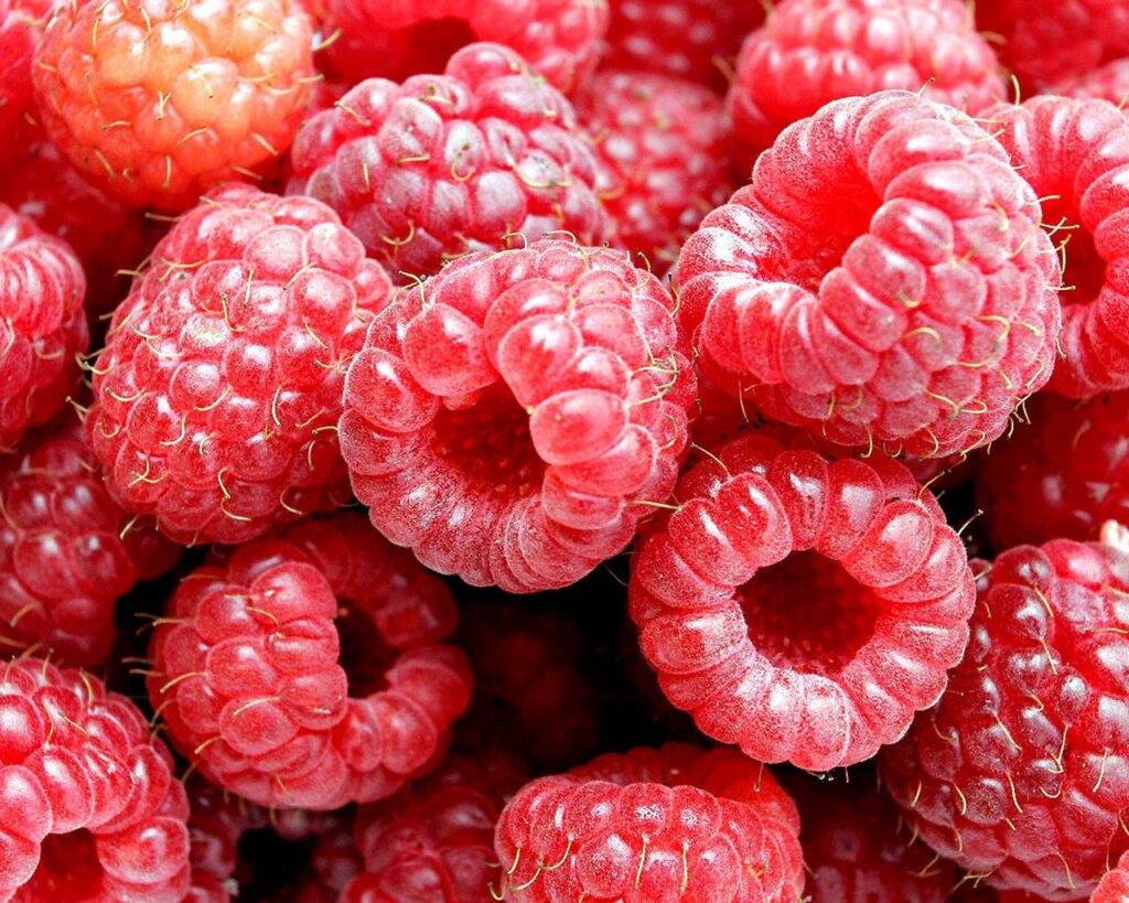 Close-Up Ripe Raspberries Wallpaper: Vibrant Red Texture Background