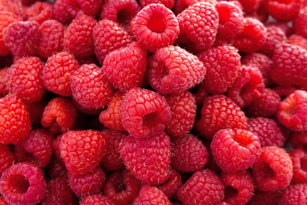 Vibrant Raspberry Wallpaper: Close-Up of Juicy, Textured Red Berries