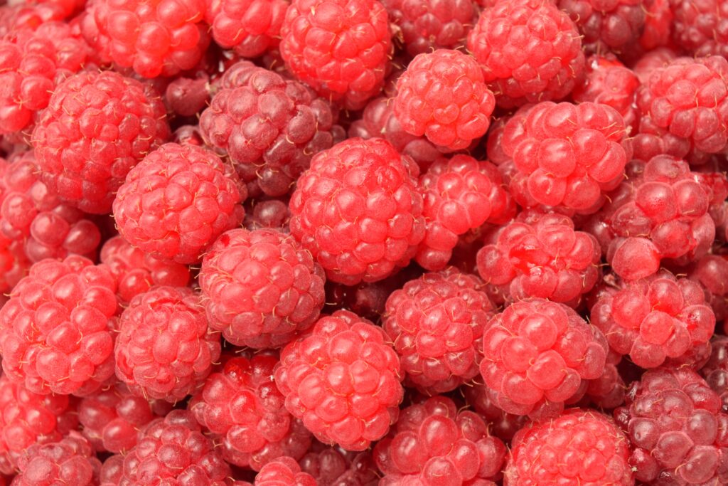 Juicy Red Raspberry Wallpaper: Close-Up Textured Background