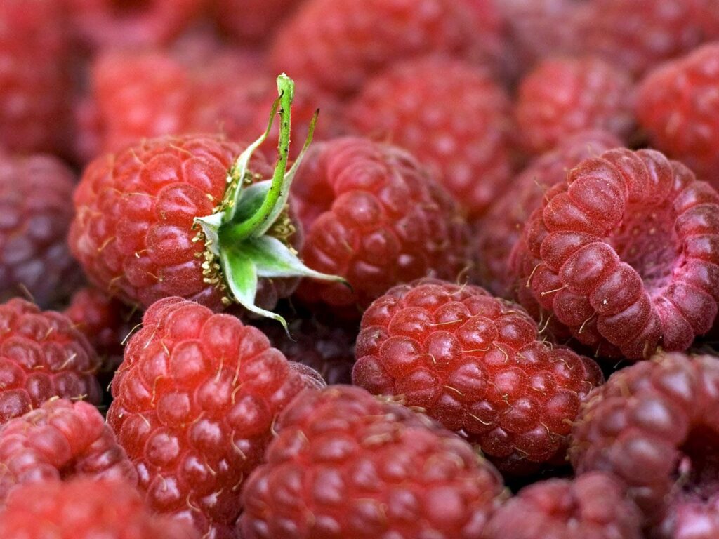 Fresh Red Raspberries Wallpaper: Lush Texture & Green Leaves Accent
