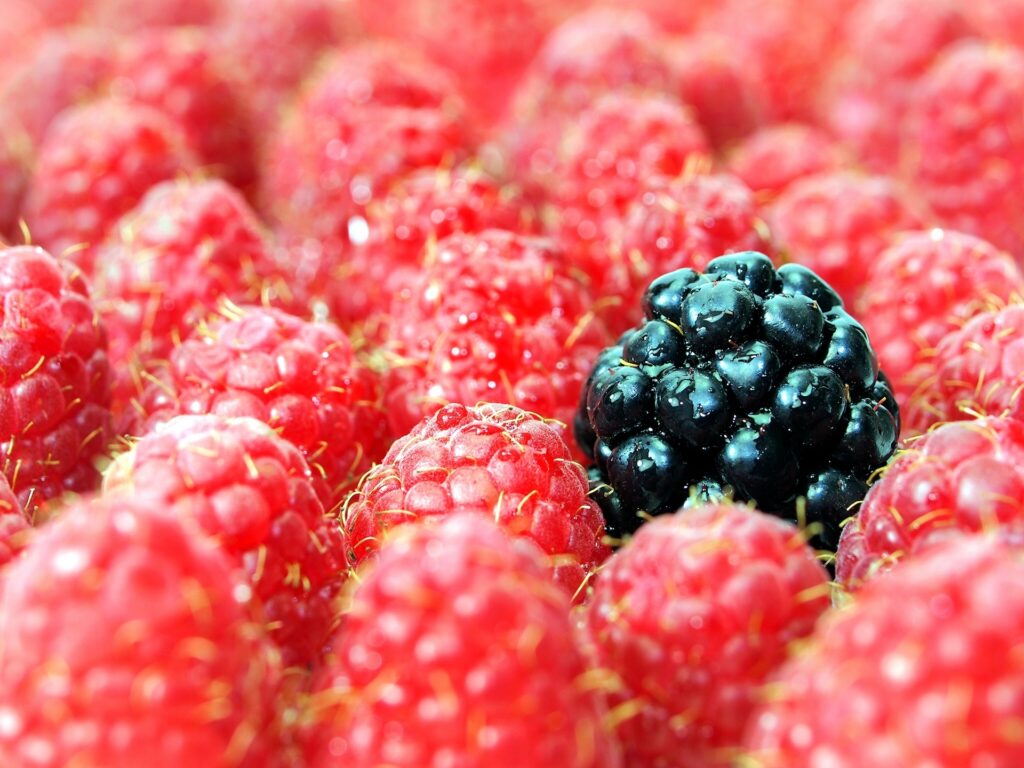Vibrant Raspberry and Blackberry Close-Up Wallpaper Background