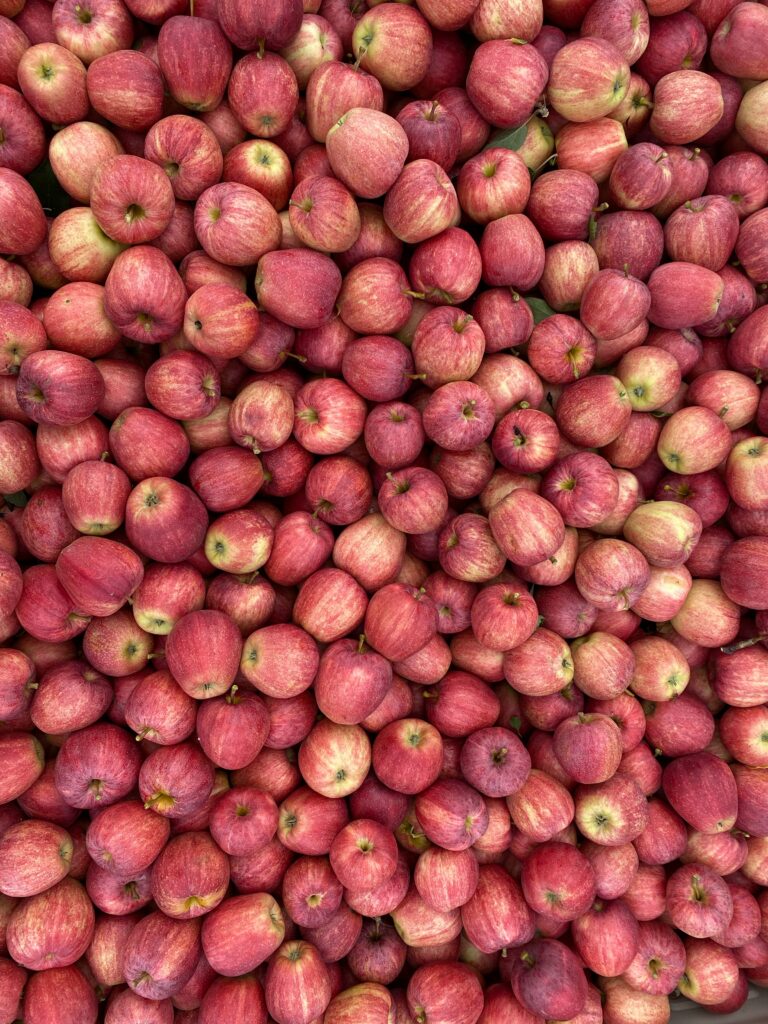Vibrant Wallpaper: Bountiful Fresh Red Apples Background