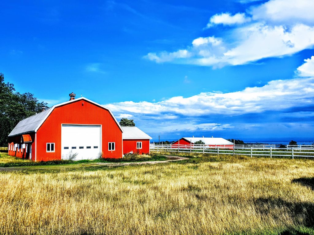 Bright red barn with white roof in golden farm field under blue sky with white clouds fence Wallpaper