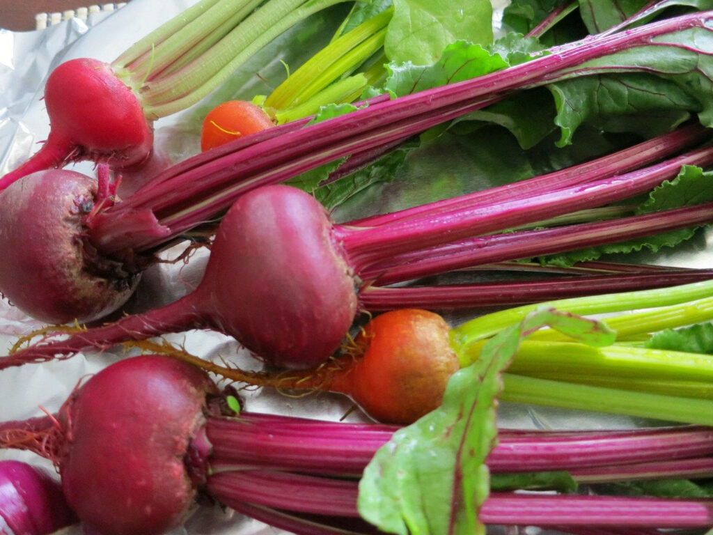 Vibrant Beetroot & Radish Wallpaper Background with Fresh Green Leaves