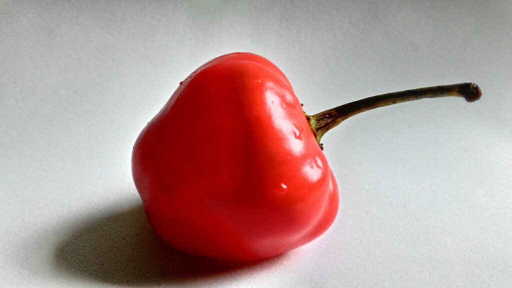 Close-Up of Glossy Red Bell Pepper - Vibrant Wallpaper Background